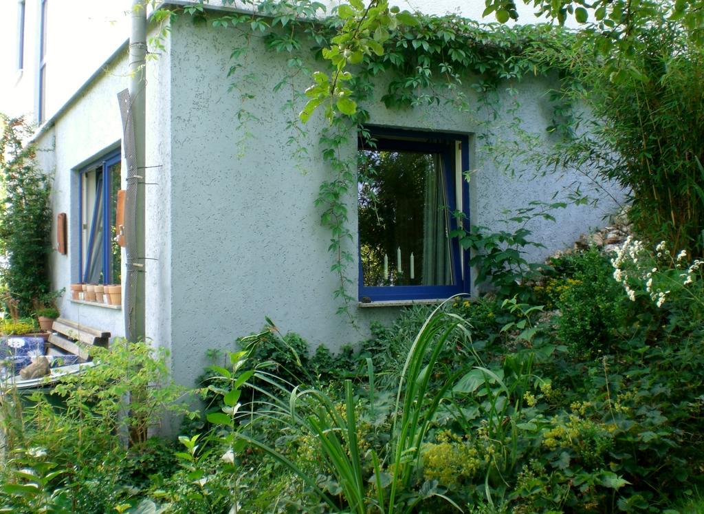 Ferienwohnung Hering In Dill Habitación foto