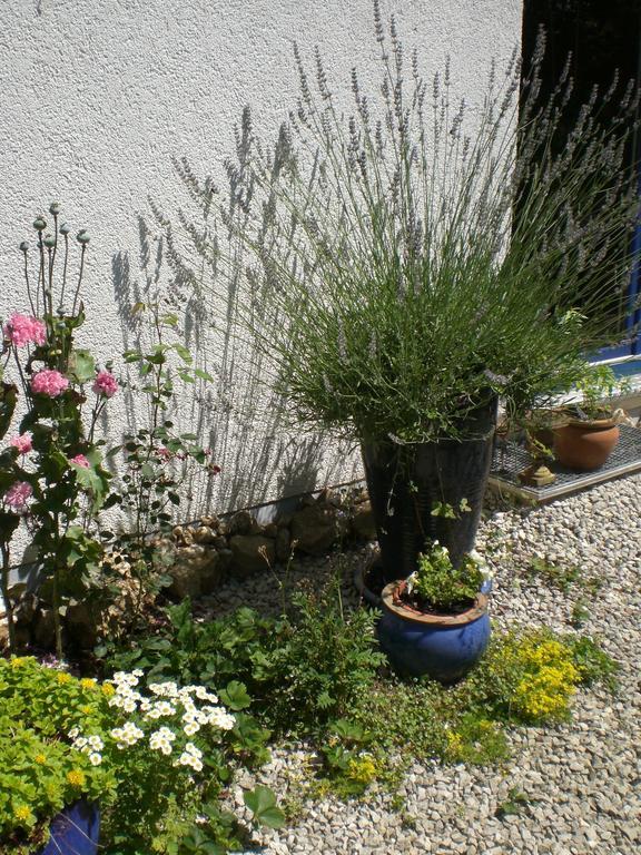 Ferienwohnung Hering In Dill Habitación foto
